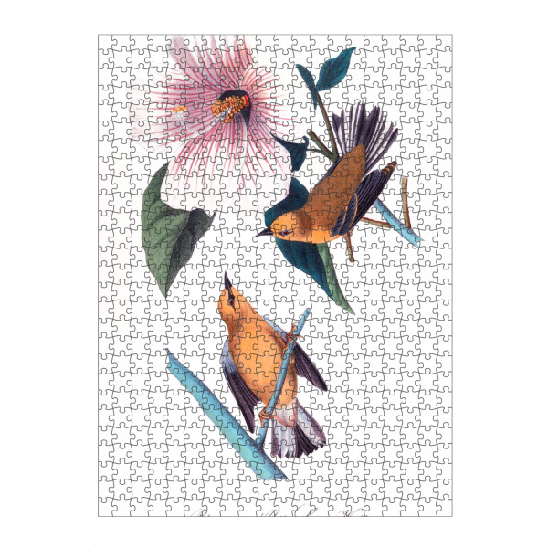 Puzzle Ravensburger "Orange und braune Vögel" artboxONE - Natur,Reise,Für Kinder,Tiere,Für Mama