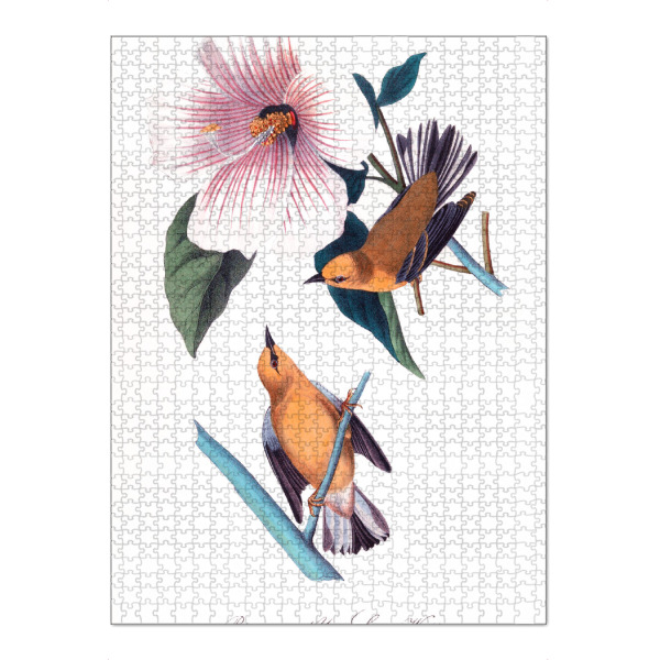Puzzle Ravensburger "Orange und braune Vögel" artboxONE - Natur,Reise,Für Kinder,Tiere,Für Mama