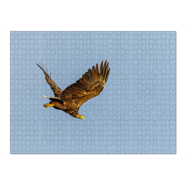 Puzzle Ravensburger "Der Seeadler" artboxONE - Tiere - Adler,Seeadler,Flug,Fliegen,Tierwelt,Vogel,Wildlife,Freiheit - Bild adler