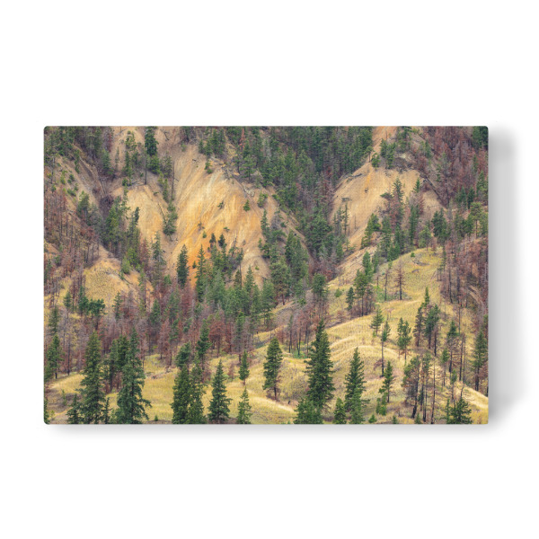 Leinwandbild "Die Painted Hills" artboxONE - Natur - Kanada,British columbia,Clinton,Painted hills,Cache creek,Landschaft,Natur,Hügel,Berge,Bunt,Wald