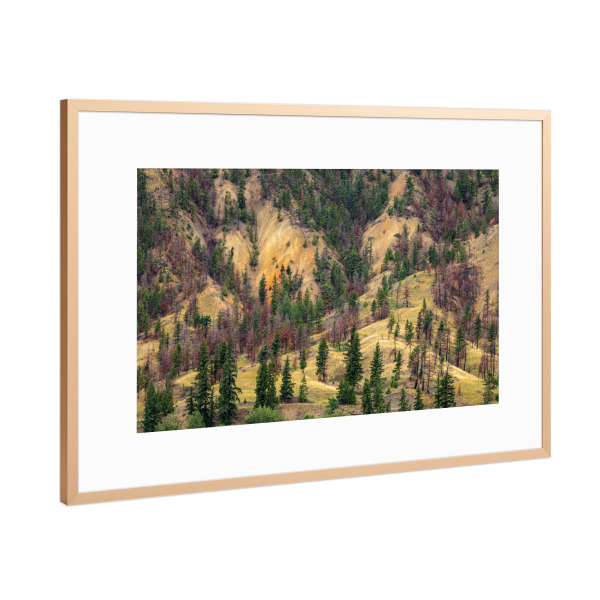 Poster mit Rahmen Kupfer "Die Painted Hills" artboxONE - Natur