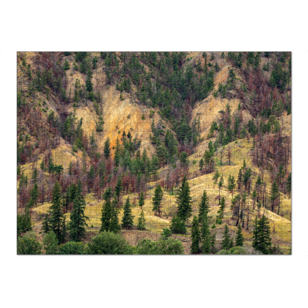 Puzzle Ravensburger "Die Painted Hills" artboxONE - Natur