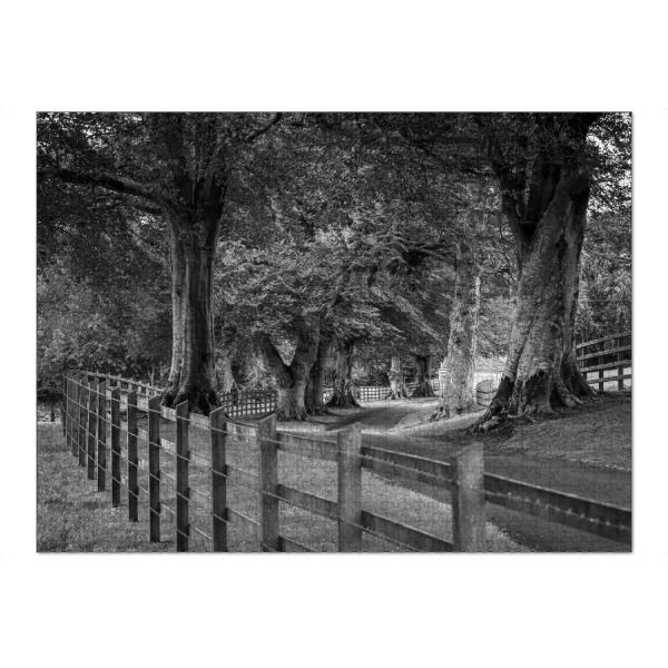 Puzzle Ravensburger "Irische Baumallee Irland" artboxONE - Natur,Schwarzweiß - Wald,Irland,Allee,Baum,Baumallee,Natur,Landschaft - Bild wald