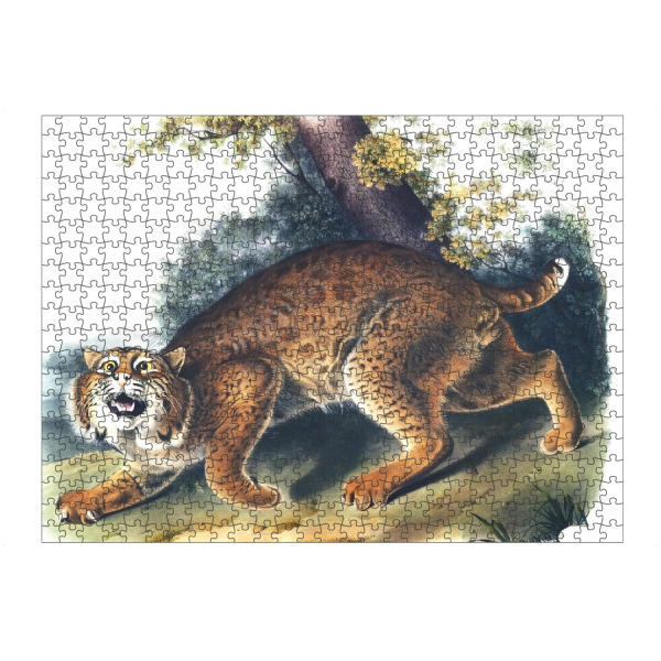 Puzzle Ravensburger "Amerikanische Wildkatze" artboxONE - Natur,Für Kinder,Tiere,Für Mama,Für Papa