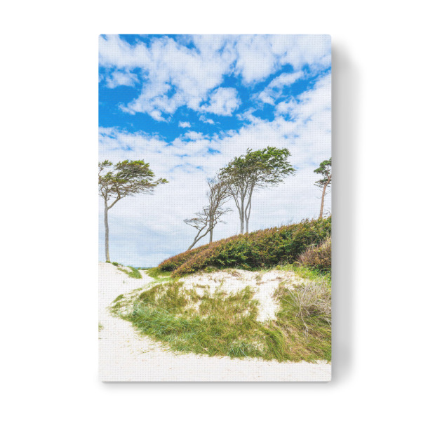 Leinwandbild "Düne, Bäume, Wolken" artboxONE - Natur,Reise,Reise / Strand und Meer