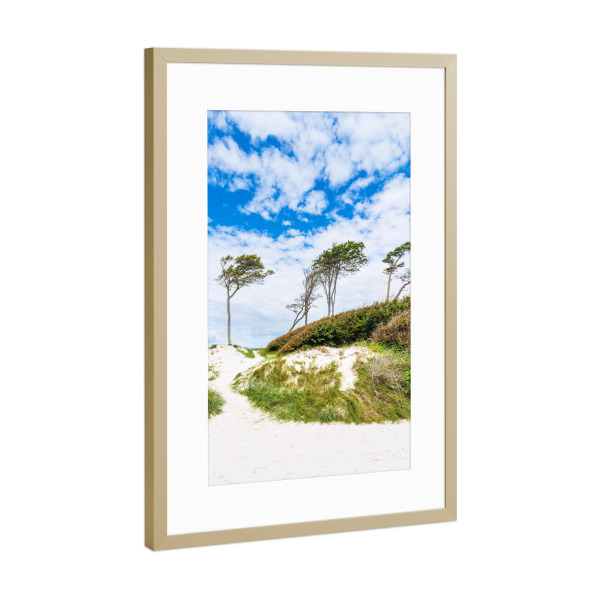 Poster mit Rahmen Gold "Düne, Bäume, Wolken" artboxONE - Natur,Reise,Reise / Strand und Meer