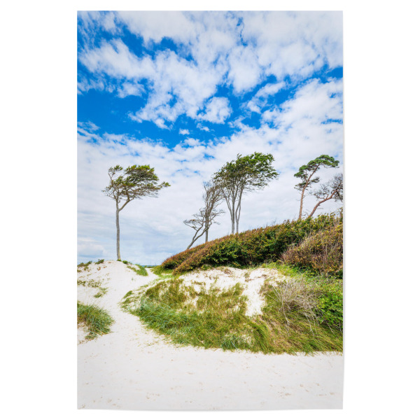 Poster 30x20 cm "Düne, Bäume, Wolken" artboxONE - Natur,Reise,Reise / Strand und Meer