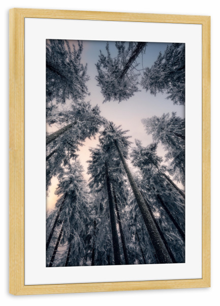 Poster mit Rahmen kiefer "Wintergiganten" artboxONE - Natur - Wald,Bäume,Himmel,Winter,Frost,Eis,Schnee,Erzgebirge,Einsam