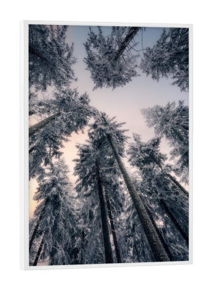 Poster mit weißem Rahmen "Wintergiganten" artboxONE - Natur - Wald,Bäume,Himmel,Winter,Frost,Eis,Schnee,Erzgebirge,Einsam