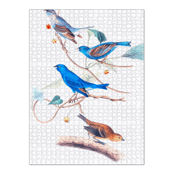 Puzzle Ravensburger "Orange und blaue Vögel" artboxONE - Natur,Reise,Für Kinder,Tiere,Für Mama