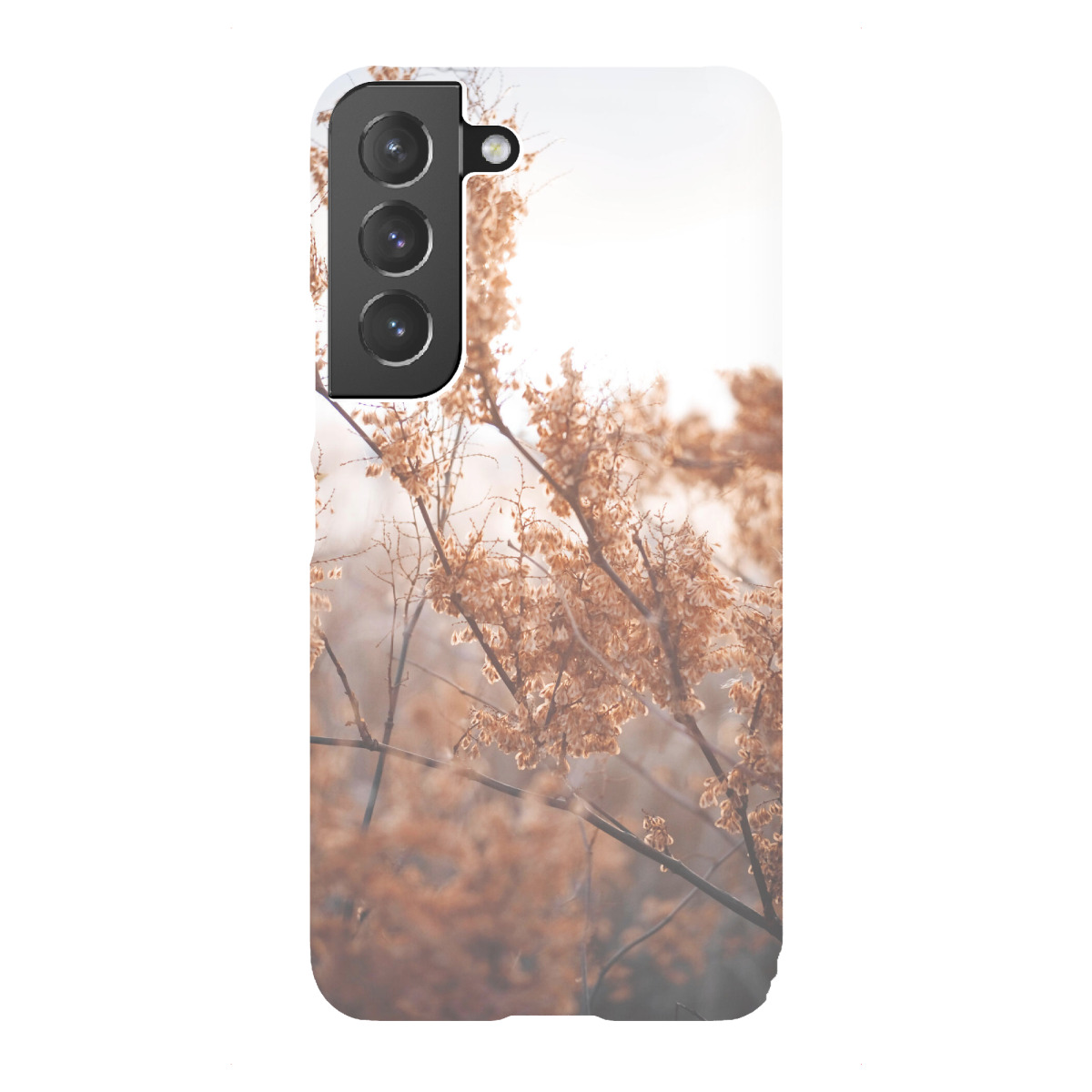 "Kleine Pflanze im Herbst"für Samsung Galaxy - Premium-Case Handyhülle artboxONE