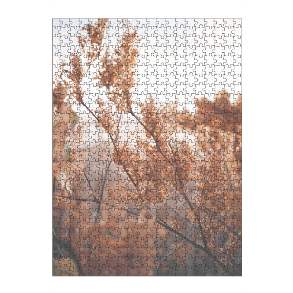 artboxONE Puzzle "Kleine Pflanze im Herbst" artboxONE - Natur,Floral,Für Mama - Pflanze,Glas,Herbstblätter,Tokio - Bild pflanze