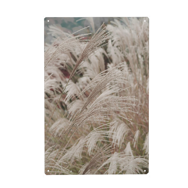 Holzbild "Osaka Pampa" artboxONE - Natur,Reise,Floral - Pampa,Gras,Natur