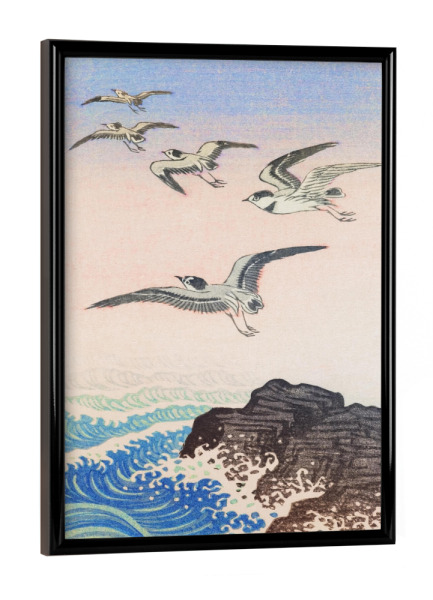 Poster mit schwarzem Rahmen "Fünf Möwen - Ohara Koson" artboxONE - Natur,Tiere,Reise / Strand und Meer