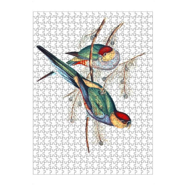 artboxONE Puzzle "Rotkopfsittich" artboxONE - Natur,Für Kinder,Tiere,Für Mama,Für Papa