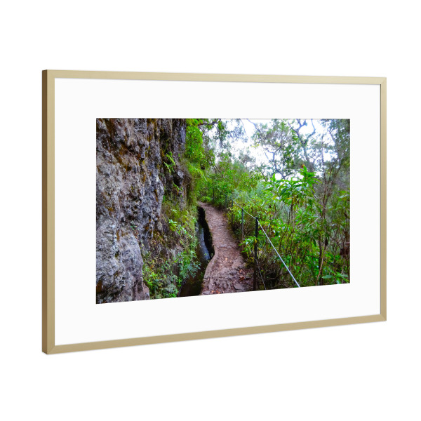 Poster mit Rahmen Gold "Levada Wanderweg @ Madeira" artboxONE - Reise,Reise / Länder