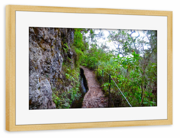 Poster mit Rahmen kiefer "Levada Wanderweg @ Madeira" artboxONE - Reise,Reise / Länder