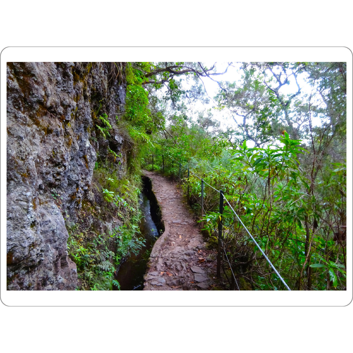 Tischset "Levada Wanderweg @ Madeira" artboxONE - Reise,Reise / Länder
