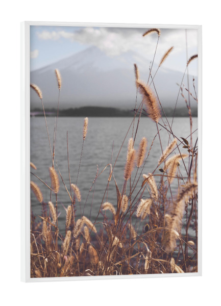 Poster mit weißem Rahmen "Berg Fuji See" artboxONE - Natur,Floral,Reise / Asien,Städte / Tokio - Fuji,See,Pampa,Pampasgras,Landschaft