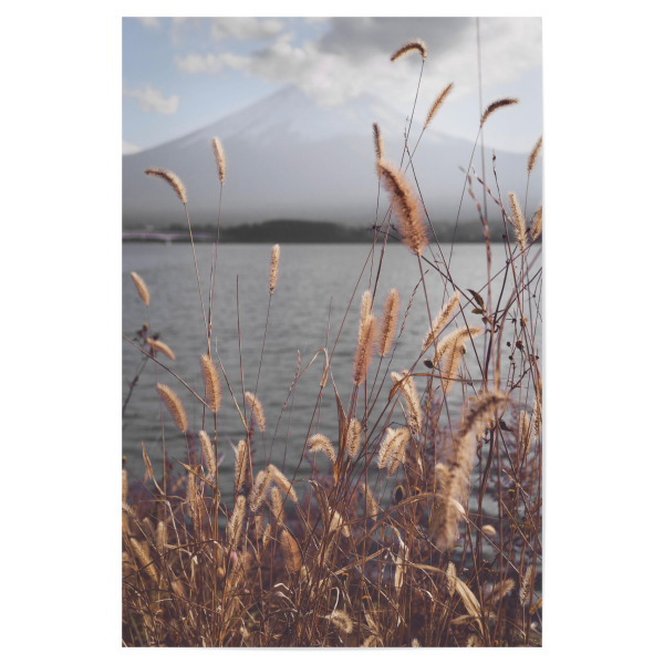 Poster 30x20 cm "Berg Fuji See" artboxONE - Natur,Floral,Reise / Asien,Städte / Tokio - Fuji,See,Pampa,Pampasgras,Landschaft
