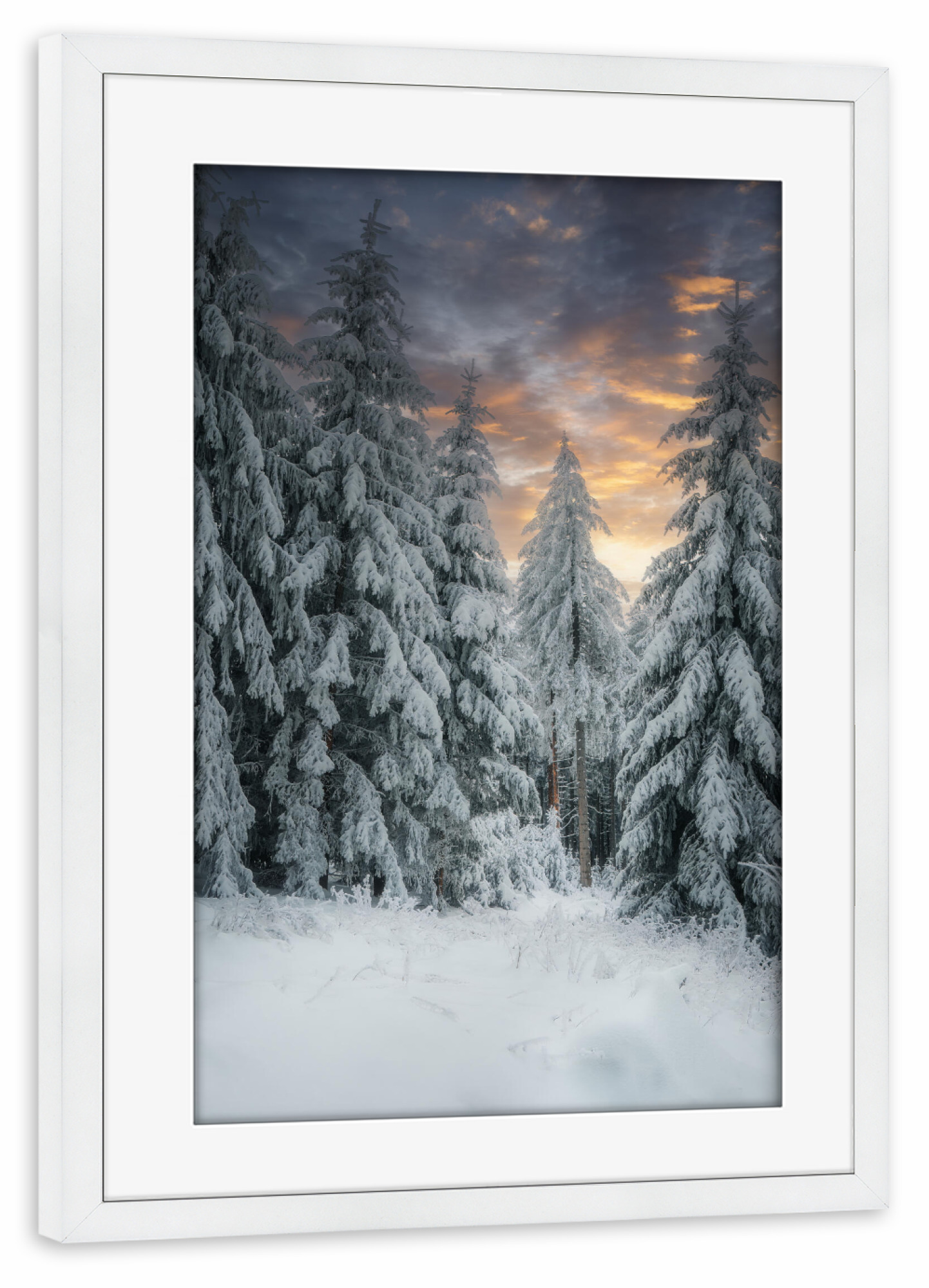 Poster mit Rahmen weiß "Abendsonne im Winterwald" artboxONE - Natur