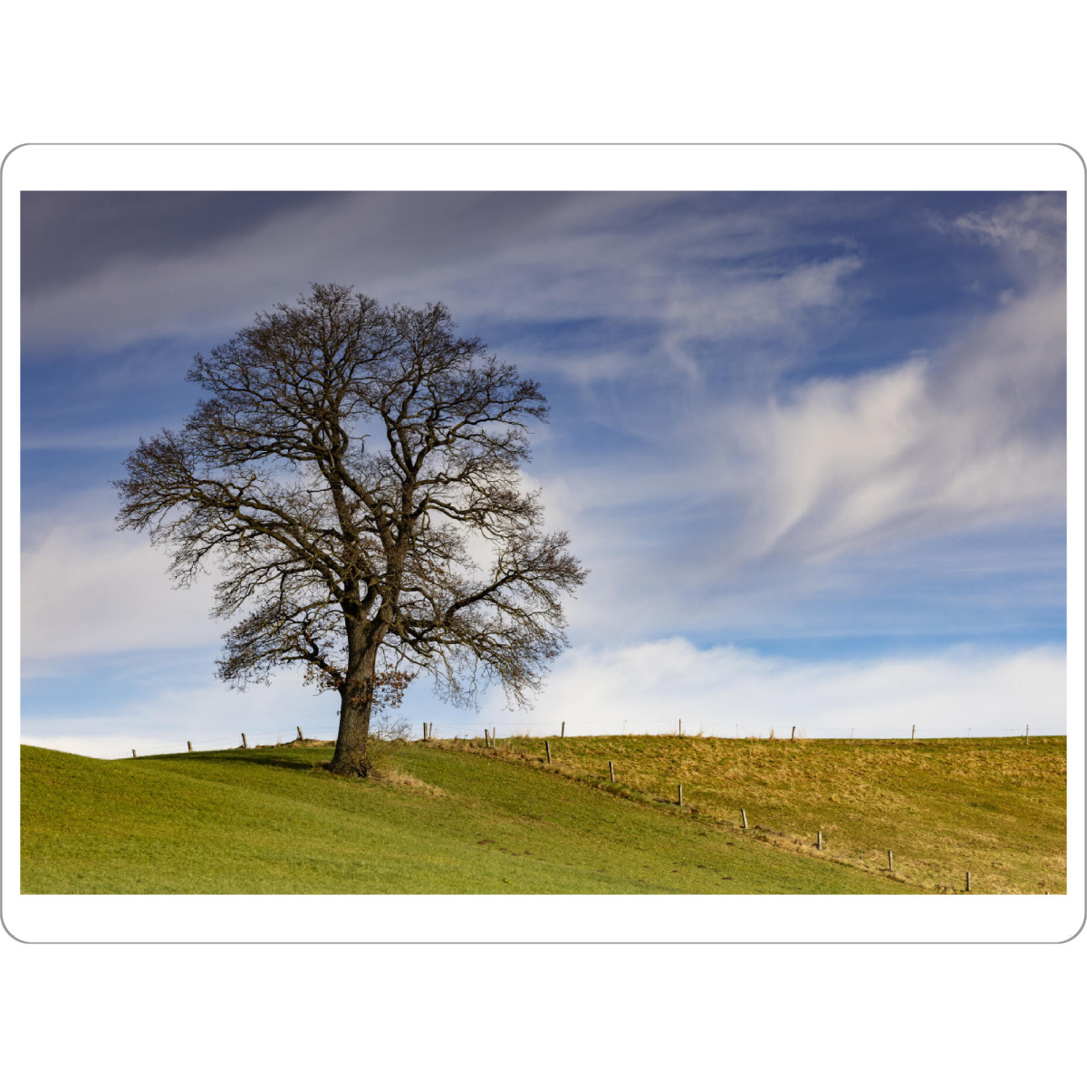 Tischset "Imposanter Baum" artboxONE - Natur - Natur,Baum,Apfeldorf,Bayern,Himmel,Wolken - Bild natur