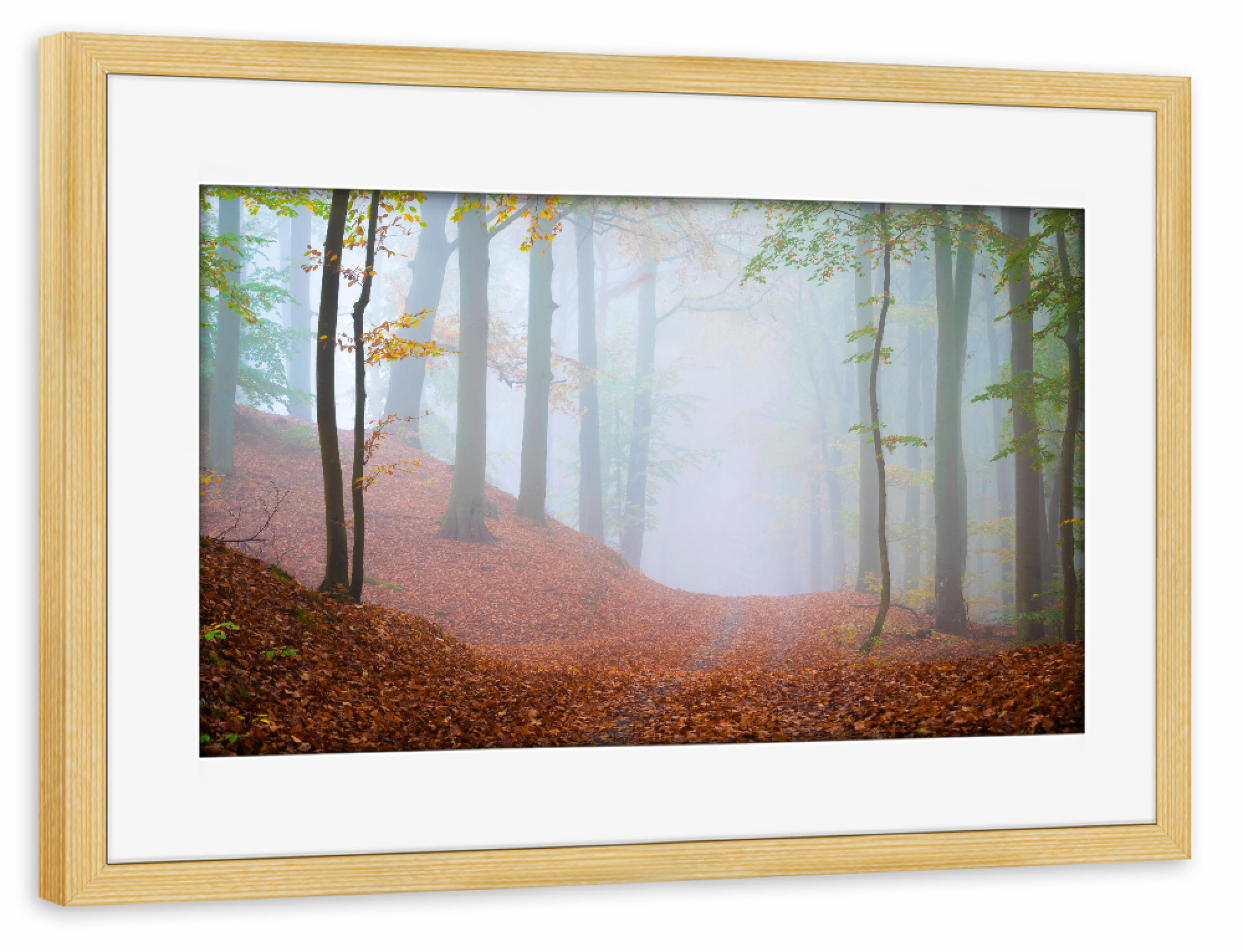 Poster mit Rahmen kiefer "Waldweg im Nebel" artboxONE - Natur - Bäume,ückeritz,Usedom,Deutschland,Mecklenburg-vorpommern
