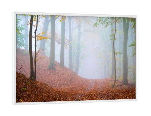 Poster mit weißem Rahmen "Waldweg im Nebel" artboxONE - Natur - Bäume,ückeritz,Usedom,Deutschland,Mecklenburg-vorpommern