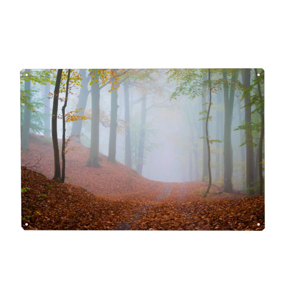 Holzbild "Waldweg im Nebel" artboxONE - Natur - Bäume,ückeritz,Usedom,Deutschland,Mecklenburg-vorpommern