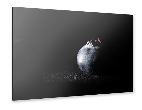 Alu-Dibond "Heidelbeere" 30x20 cm artboxONE