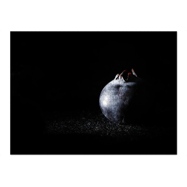 Puzzle Ravensburger "Heidelbeere" artboxONE - Essen & Trinken,Für Mama,Essen & Trinken / Obst & Gemüse