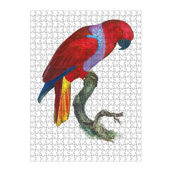 artboxONE Puzzle "Eclectus Roratus" artboxONE - Natur,Für Kinder,Tiere,Für Mama,Für Papa