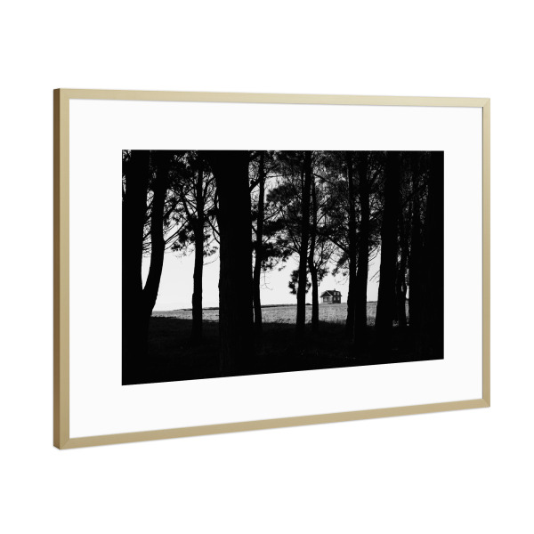 Poster mit Rahmen Gold "Das Haus am Waldrand" artboxONE - Natur,Reise,Abstrakt,Reise / Länder