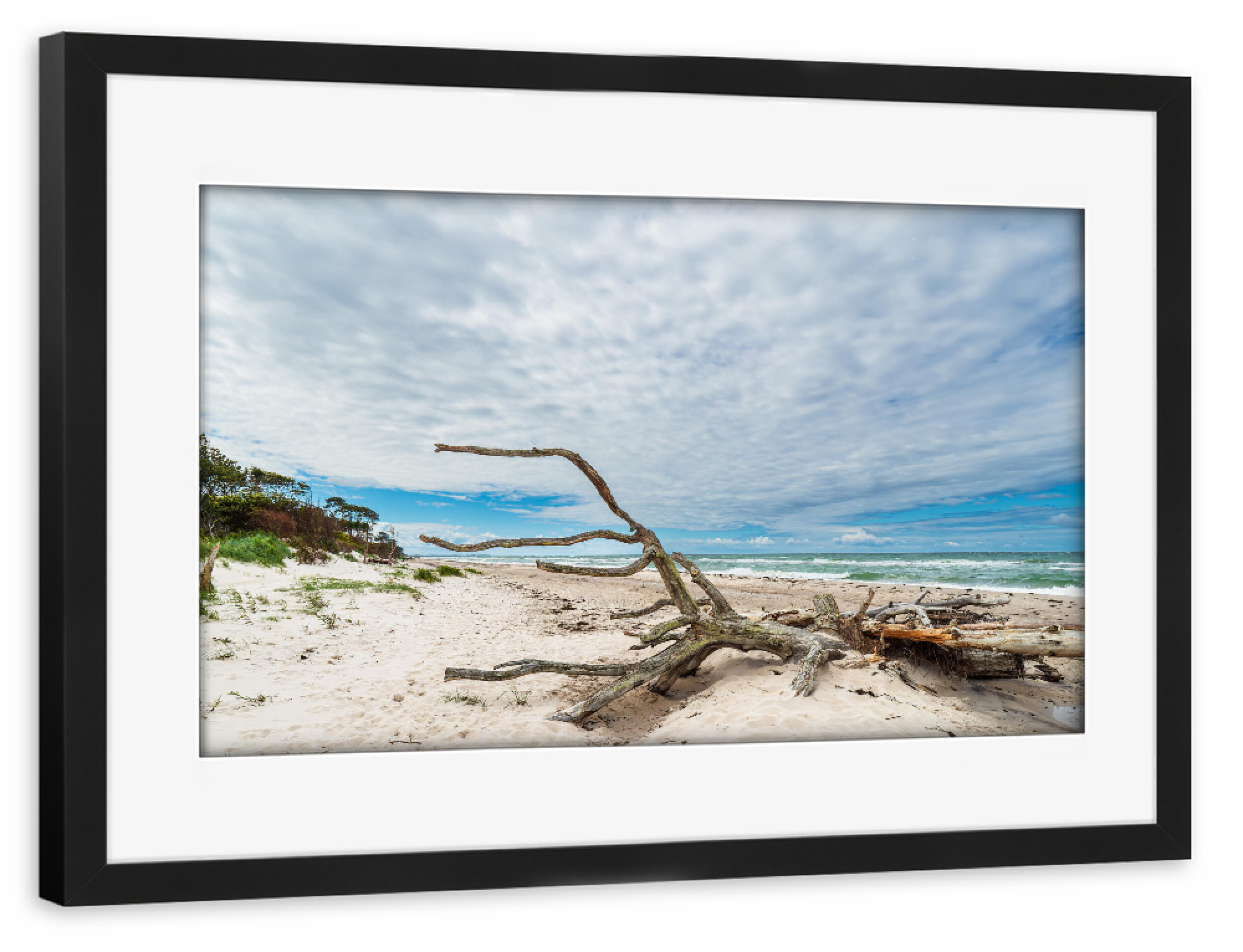 Poster mit Rahmen schwarz "Baumstamm am Weststrand" artboxONE - Natur,Reise,Reise / Strand und Meer