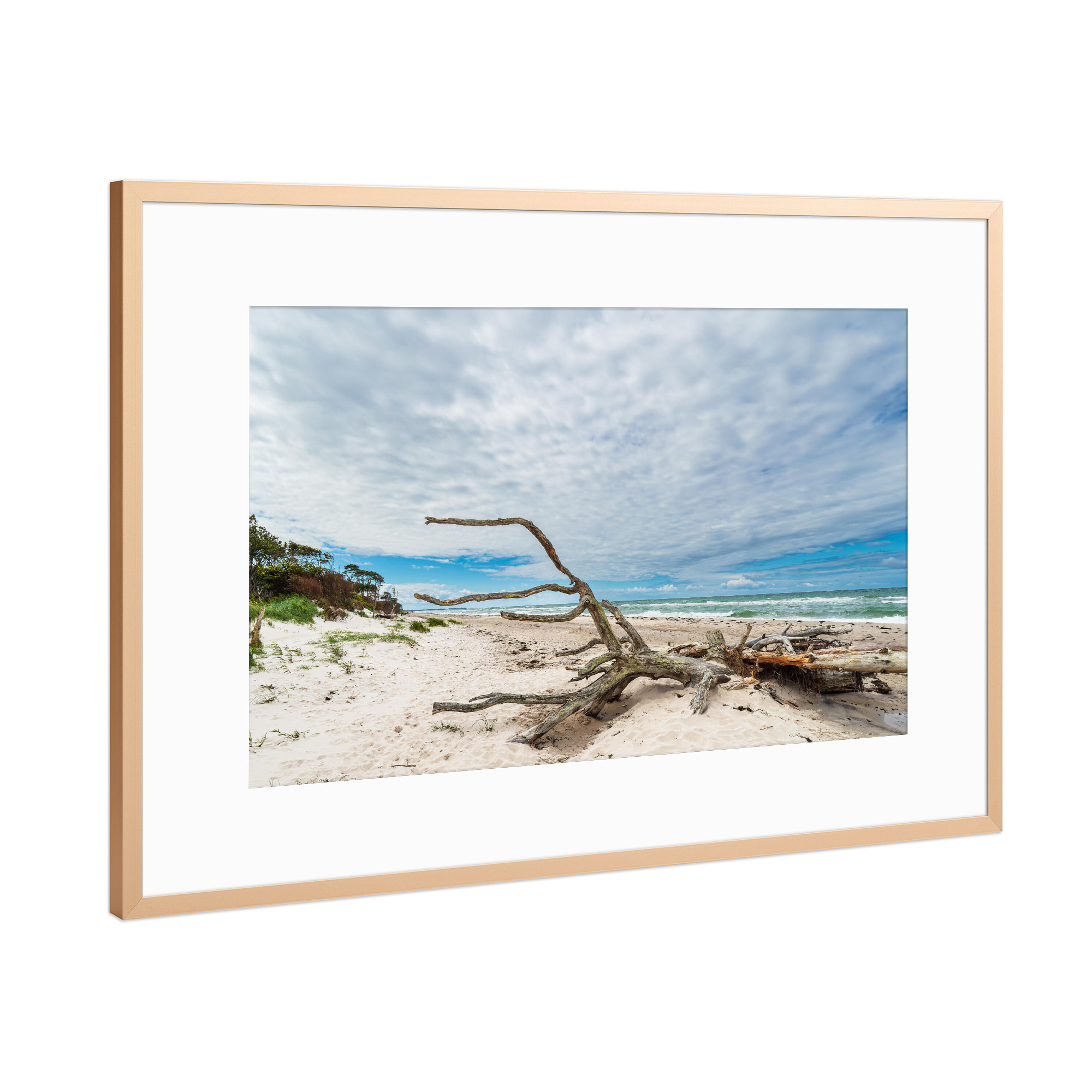 Poster mit Rahmen Kupfer "Baumstamm am Weststrand" artboxONE - Natur,Reise,Reise / Strand und Meer