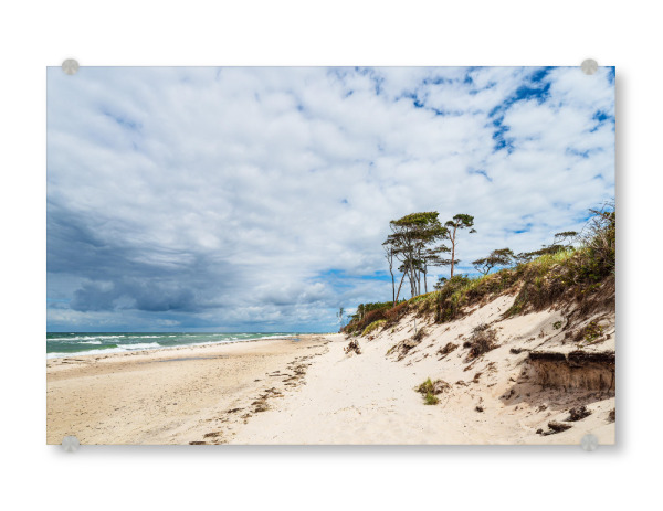 Acrylglasbild "Düne, Bäume, Strand, Meer" artboxONE - Natur,Reise,Reise / Strand und Meer