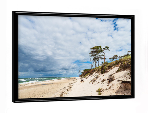 Poster mit schwarzem Rahmen "Düne, Bäume, Strand, Meer" artboxONE - Natur,Reise,Reise / Strand und Meer