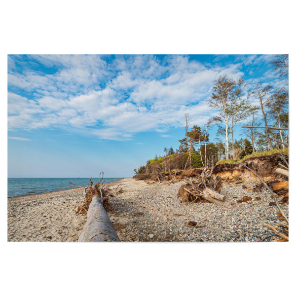Poster "Strand, Meer, Baumstamm" artboxONE - Natur,Reise,Reise / Strand und Meer
