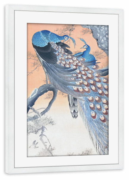 Poster mit Rahmen weiß "Zwei Pfauen auf Baumast" artboxONE - Natur,Für Kinder,Tiere,Für Mama,Für Papa