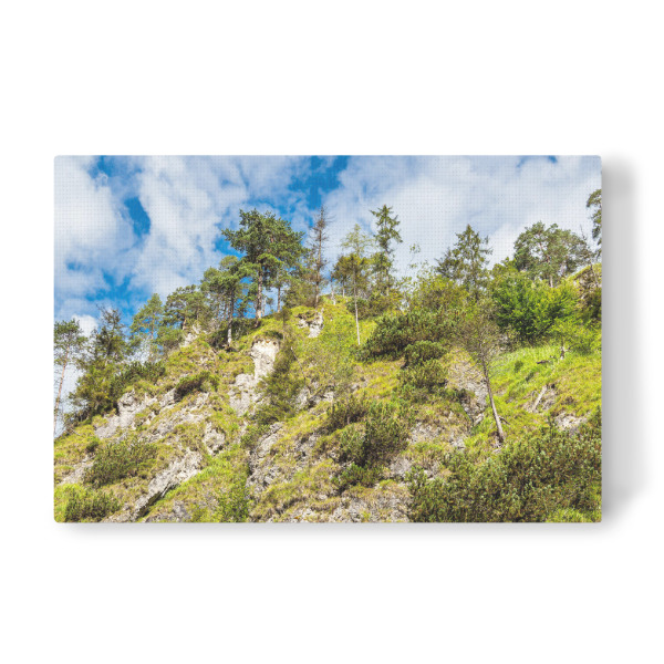 Leinwandbild "Berghang, Bäume, Wolken" artboxONE - Natur,Reise