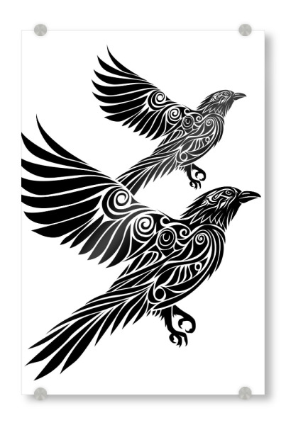 Acrylglasbild "Krähe fliegender Stamm" artboxONE - Tiere,Schwarzweiß - Tier,Vogel,Krähe,Trival,Tribal,Fliegen,Dunkel,Tätowierung,Natur,Federn,Flügel