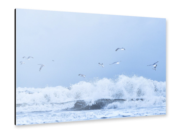 Alu-Dibond "Möwen über wilder See" 30x20 cm artboxONE