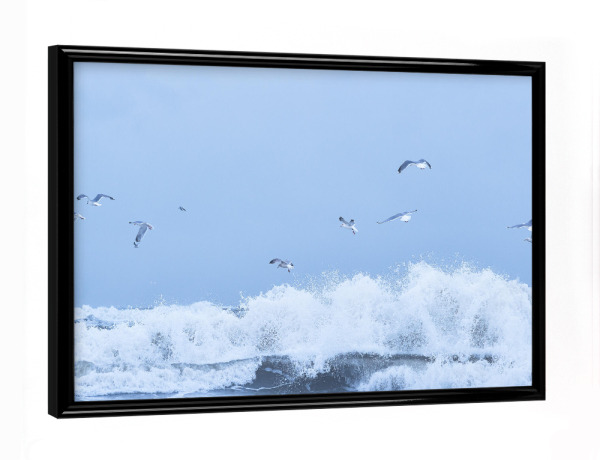 Poster mit schwarzem Rahmen "Möwen über wilder See" artboxONE - Natur,Tiere,Reise / Strand und Meer