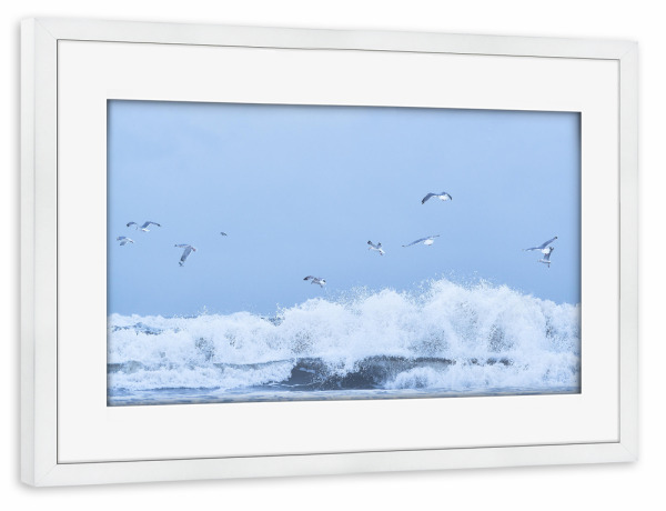 Poster mit Rahmen weiß "Möwen über wilder See" artboxONE - Natur,Tiere,Reise / Strand und Meer