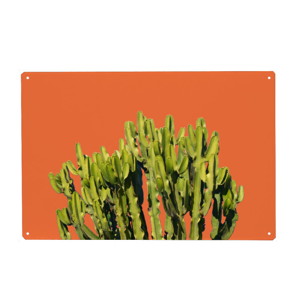 Holzbild "Mutiger Kaktus" artboxONE - Natur - Andere,Digitale manipulation,Farbe,Kaktus,Wüste,Natur,Pflanze,Saftig,Exotisch,Koralle,Fett,Bunt