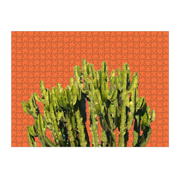 Puzzle Ravensburger "Mutiger Kaktus" artboxONE - Natur