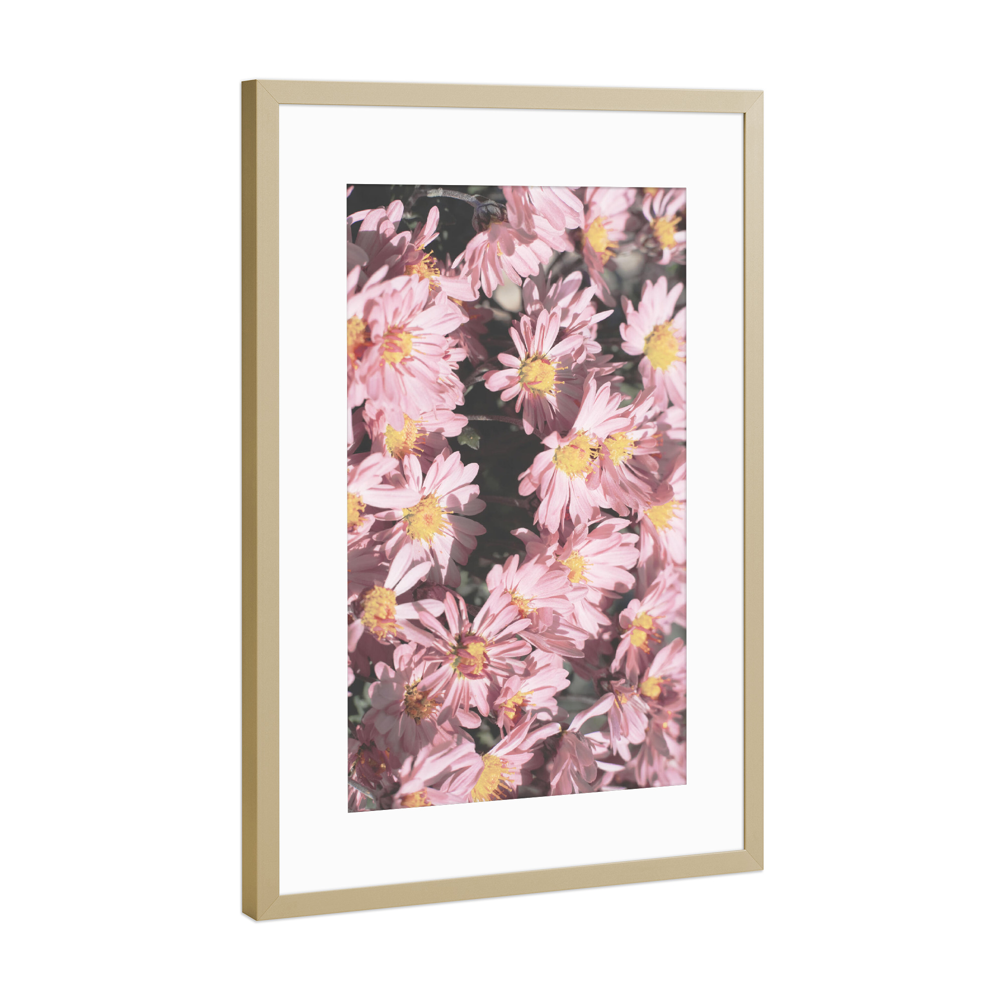 Poster mit Rahmen Gold "Kleines rosa Blumen" artboxONE - Natur,Floral,Liebe,Für Mama - Rosa blumen,Blumen,Blume,Natur
