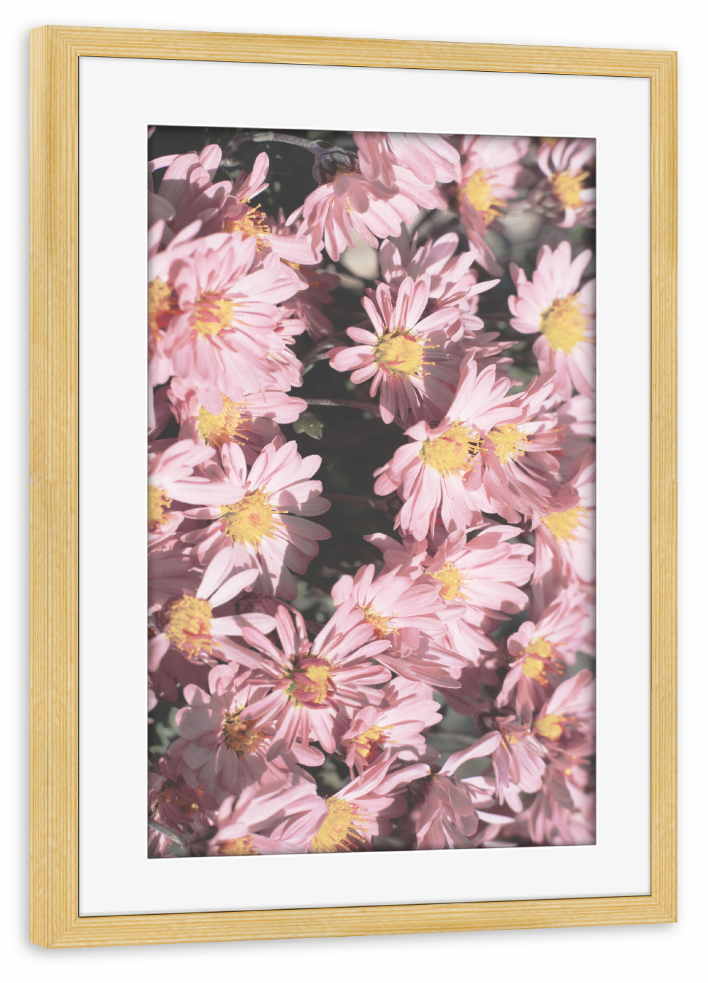 Poster mit Rahmen kiefer "Kleines rosa Blumen" artboxONE - Natur,Floral,Liebe,Für Mama - Rosa blumen,Blumen,Blume,Natur