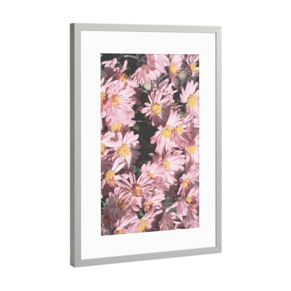 Poster mit Rahmen Silber "Kleines rosa Blumen" artboxONE - Natur,Floral,Liebe,Für Mama - Rosa blumen,Blumen,Blume,Natur