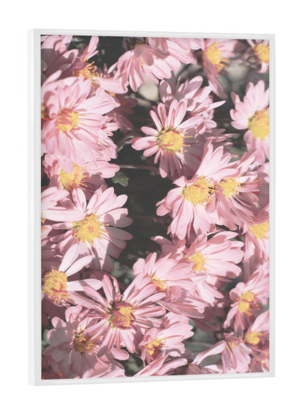 Poster mit weißem Rahmen "Kleines rosa Blumen" artboxONE - Natur,Floral,Liebe,Für Mama - Rosa blumen,Blumen,Blume,Natur